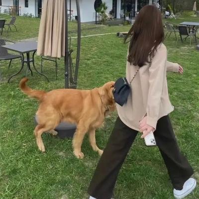 阿仔出监