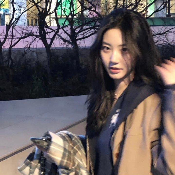 樱花别恋